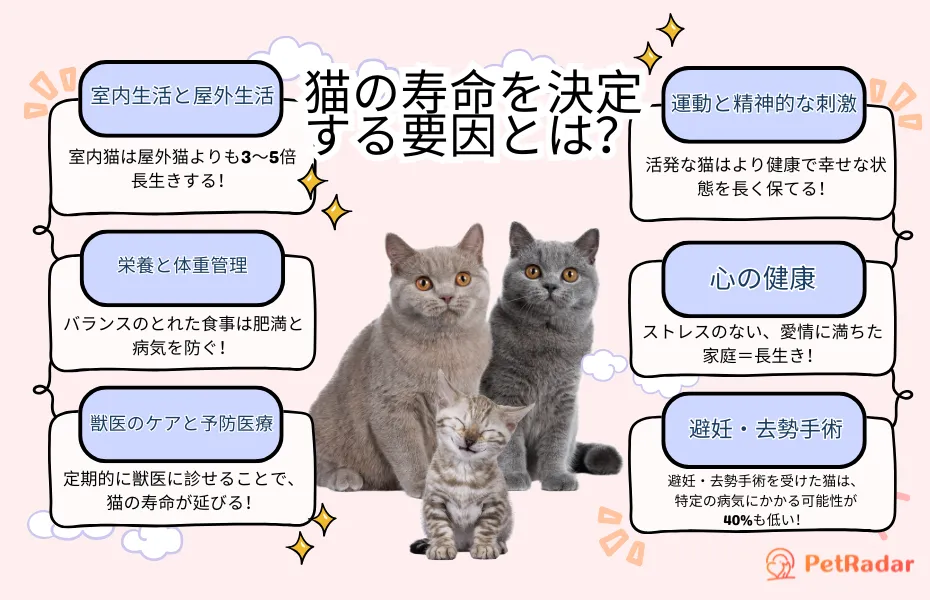 猫の寿命を決定する要因のリスト