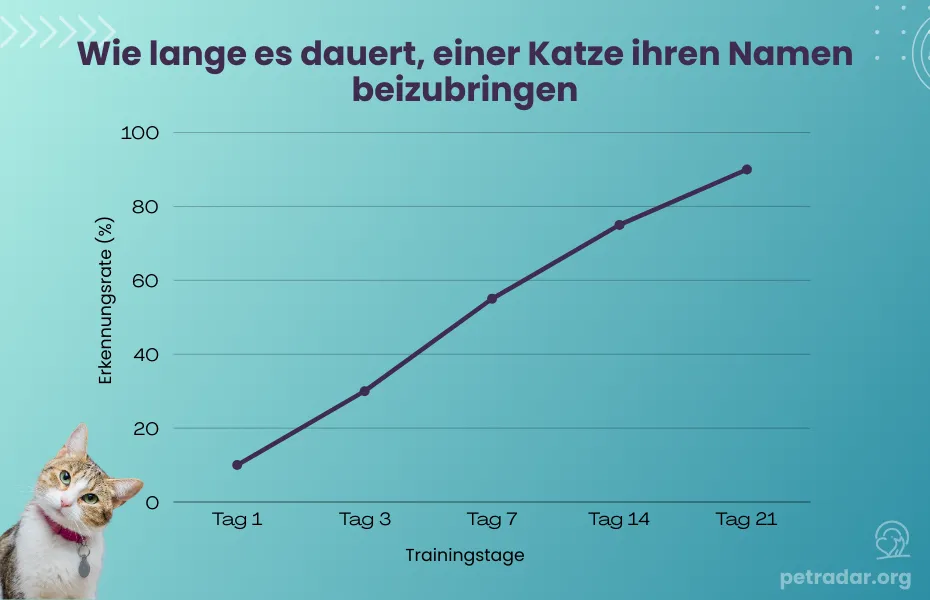 Wie lange es dauert, einer Katze ihren Namen beizubringen Grafische Darstellung