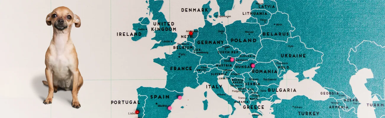 Pet Adoption Trends in Europe