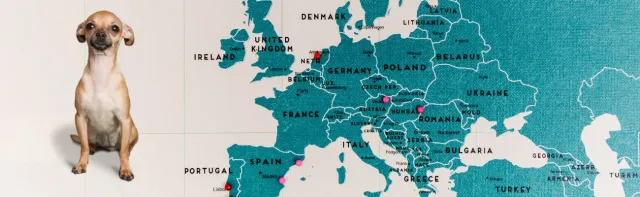 Tendencias de adopción de mascotas en Europa