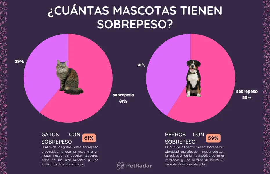 Gráficos circulares comparativos que muestran que el 61 % de los gatos y el 59 % de los perros tienen sobrepeso, con fotos de un gato y un perro superpuestas en sus respectivos segmentos del gráfico