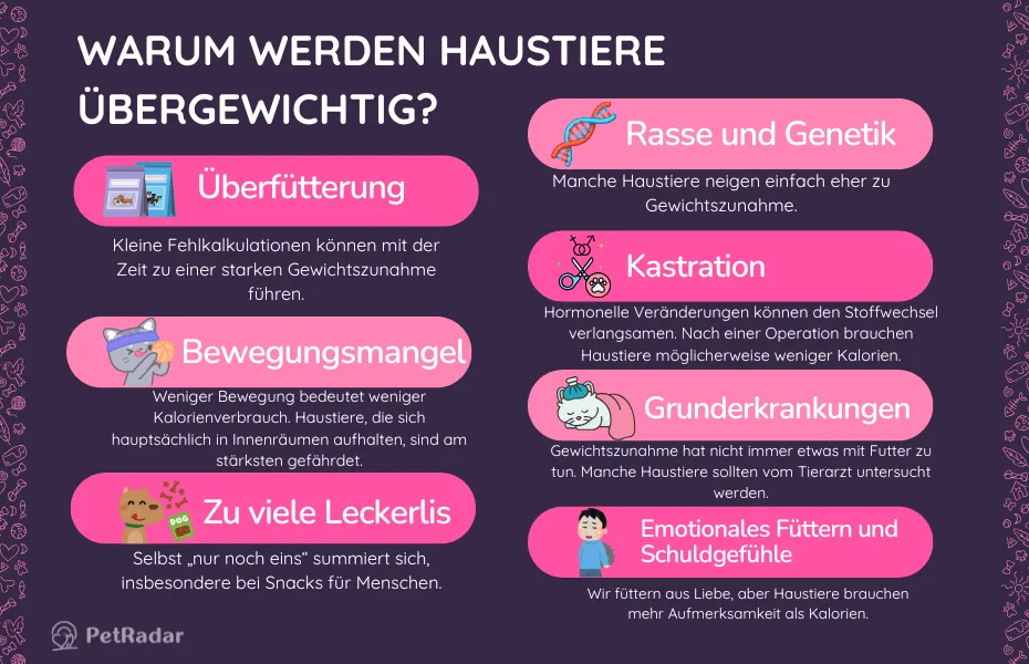 Infografik mit den wichtigsten Gründen für Übergewicht bei Haustieren, darunter Überfütterung, Bewegungsmangel und emotionales Füttern, mit bunten Symbolen und niedlichen Illustrationen