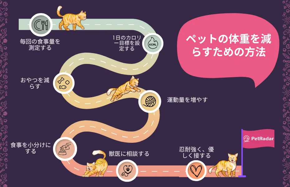 ペットの体重減少を支援する遊び心のあるステップバイステップガイドのインフォグラフィック。イラストの猫たちが、食事量の管理から獣医の診察までをたどる