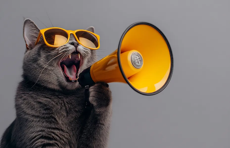 Stylish gray cat in sunglasses holding a yellow megaphone, symbolizing loud or persistent meowing.