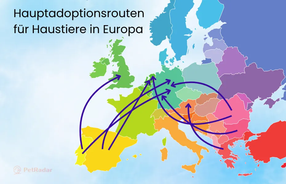 Bunte Europakarte mit Hauptadoptionsrouten für Haustiere