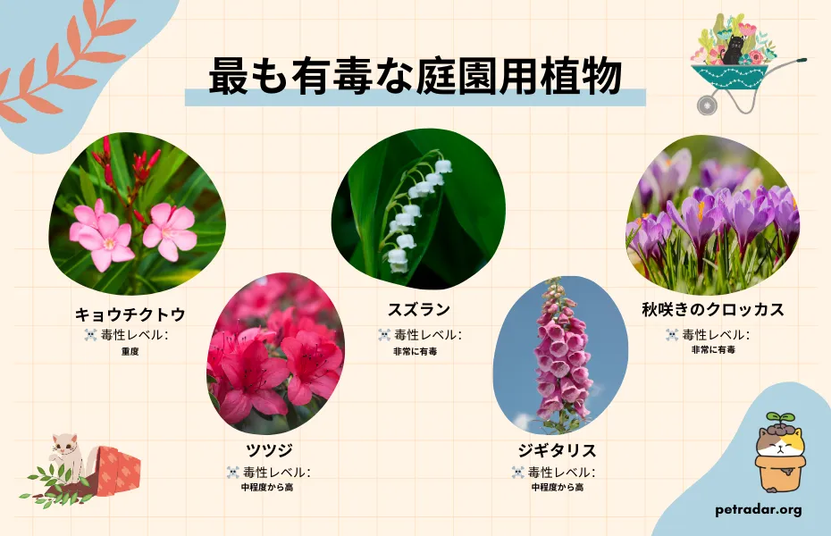 猫にとって最も有毒な庭の植物