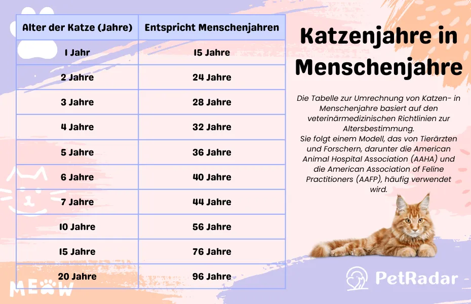 Umrechnungstabelle – Katzenjahre in Menschenjahre