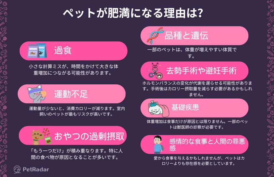 ペットが肥満になる主な理由(過食、運動不足、感情的な餌やりなど)を、カラフルなアイコンと可愛いイラストで説明したインフォグラフィック