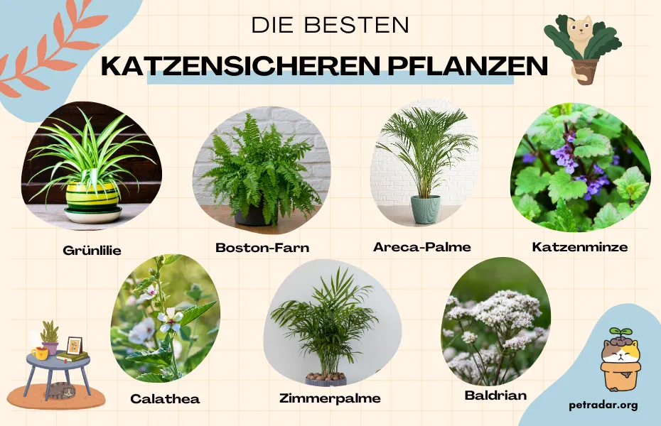 Die besten katzensicheren Pflanzen