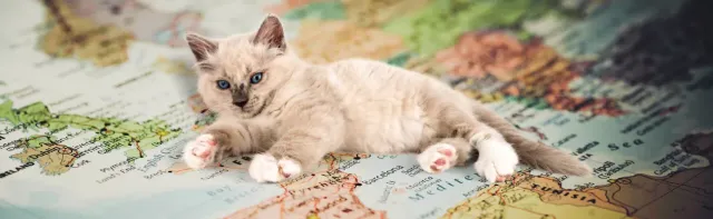 Los países más amantes de las mascotas en Europa