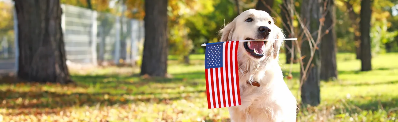 Pet Ownership in the U.S. (2025): How Many Pets Are in Each State & How Ownership is Changing