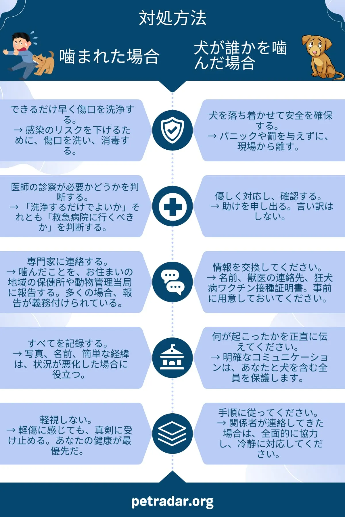 犬に噛まれた場合と、自分の犬が他人を噛んだ場合の対応方法に関するインフォグラフィック
