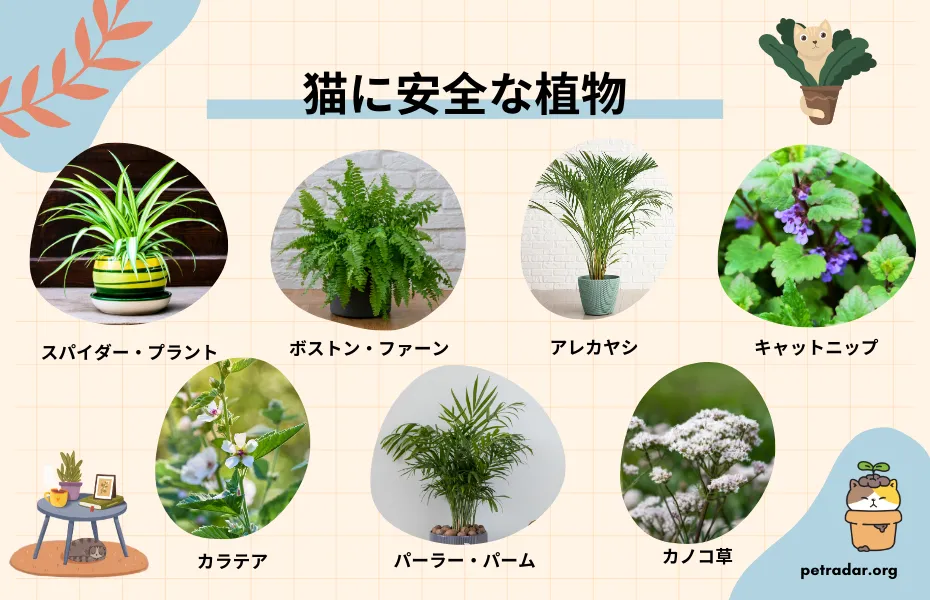 猫にとって最も安全な植物