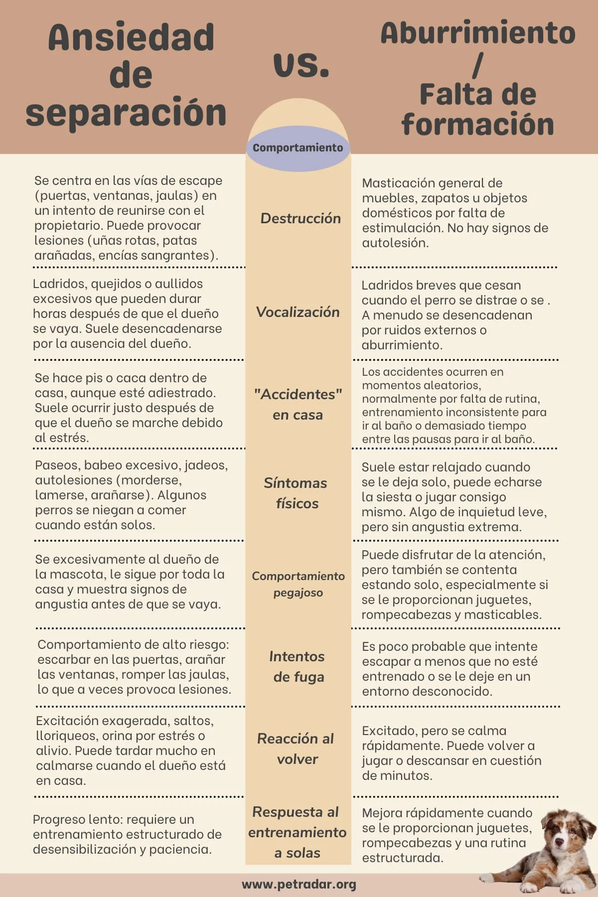 Tabla que muestra la diferencia entre la ansiedad por separación y el aburrimiento en los perros