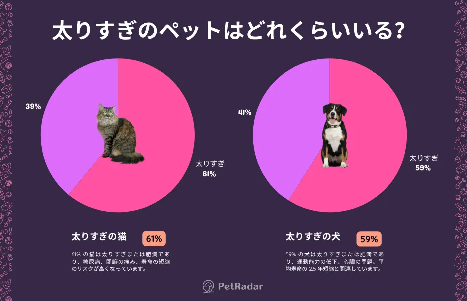 猫の61%と犬の59%が肥満であることを示す並んだ円グラフ。それぞれのグラフのセグメントに猫と犬の写真が重ねて表示されている