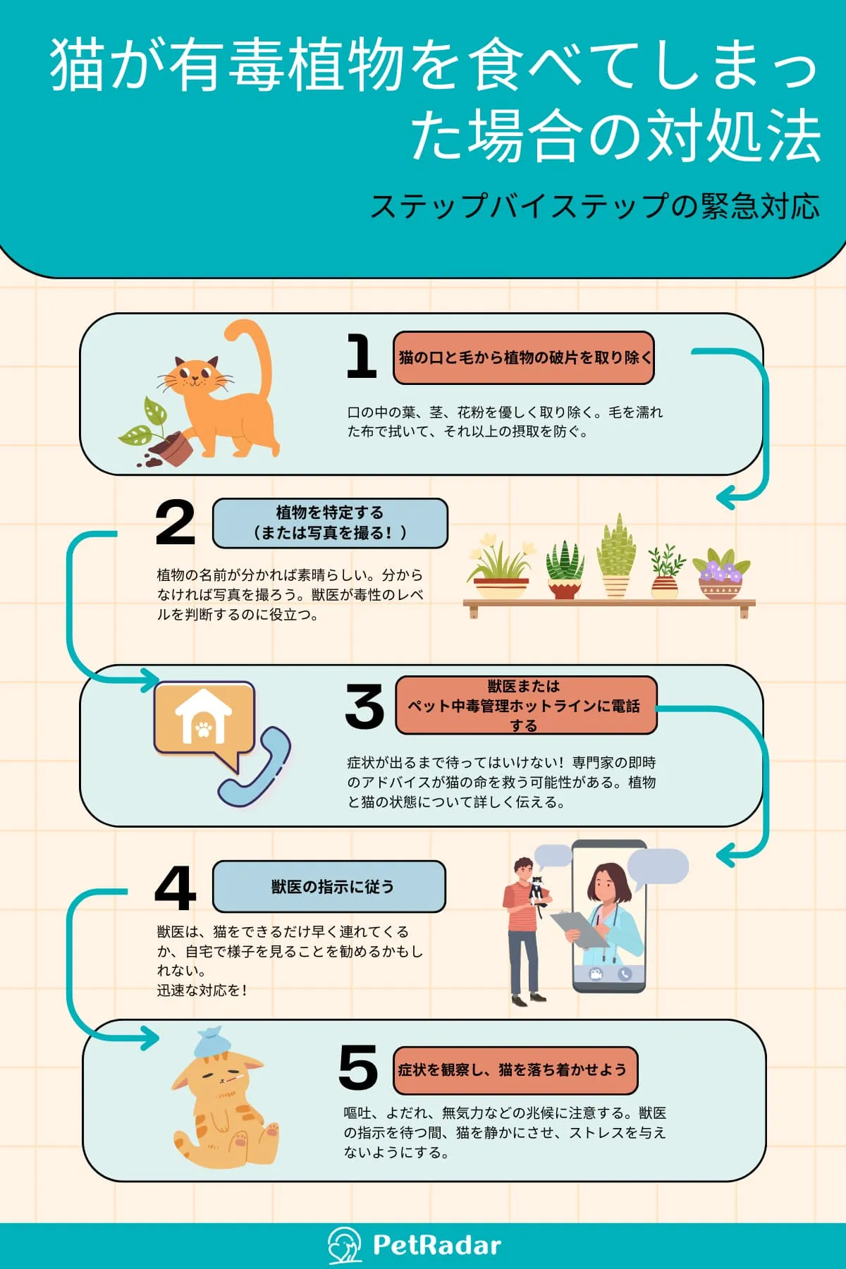 猫が有毒植物を食べてしまった場合の対処法 インフォグラフィック
