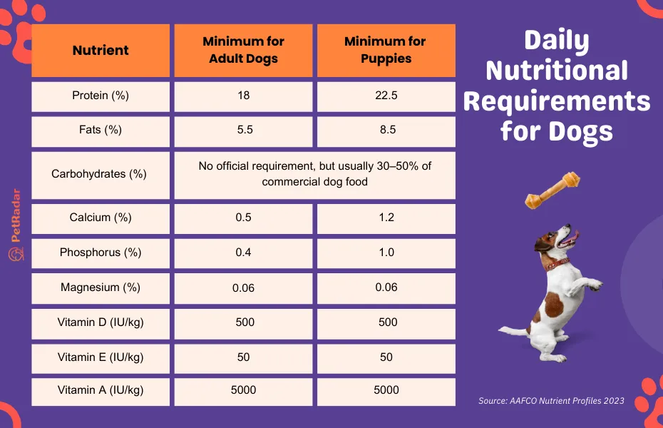 Daily Nutritional Requirements for Dogs