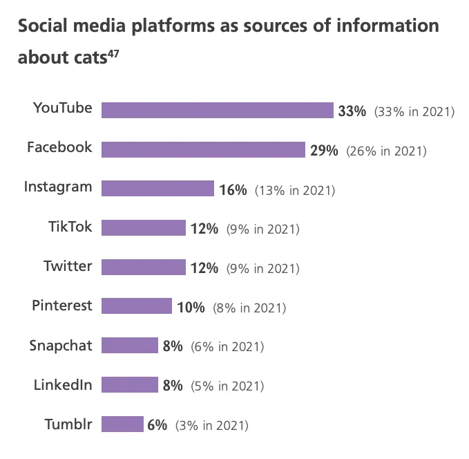 Soziale Medien als Informationsquellen für Katzen: YouTube mit 33%, Facebook mit 29% und Instagram mit 16%