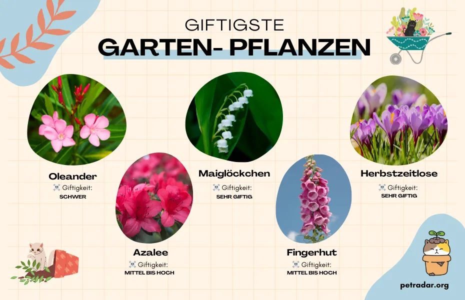 GIFTIGSTE GARTEN- PFLANZEN FÜR KATZEN
