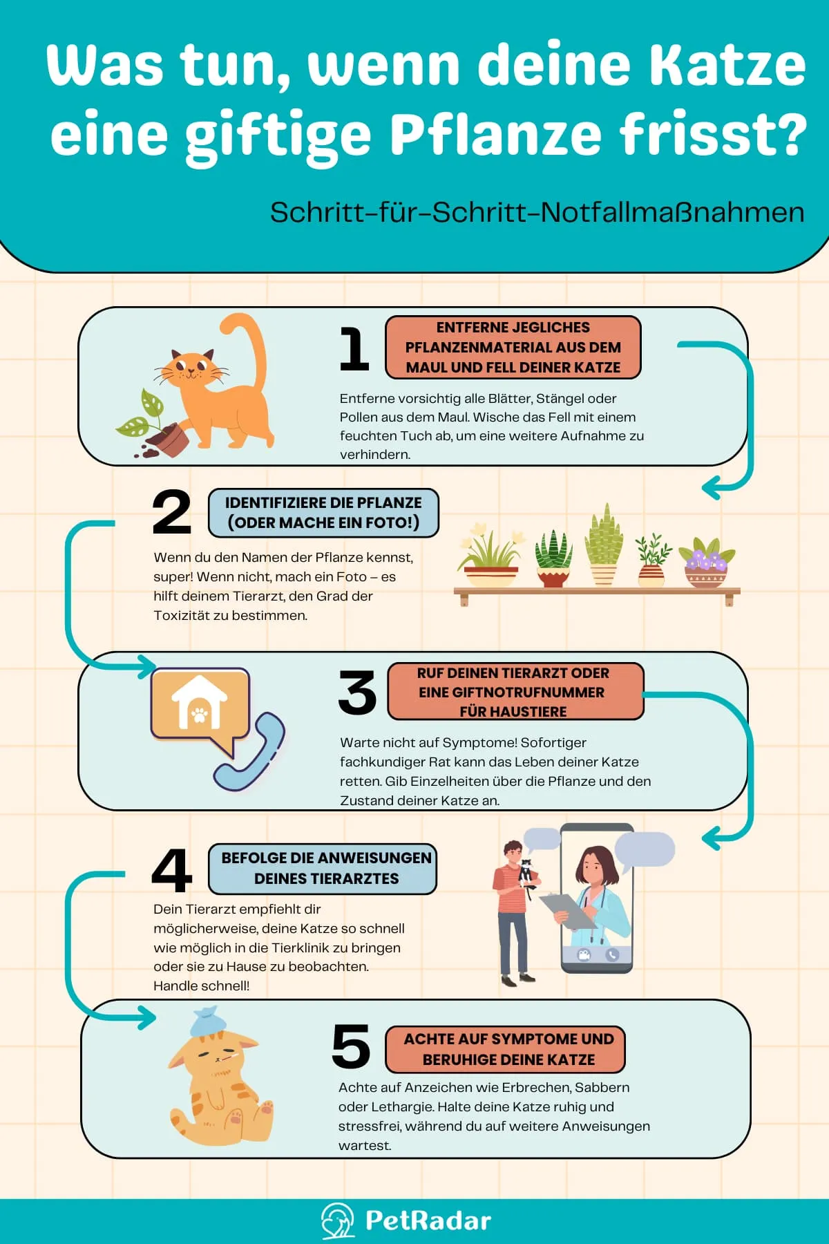 Was tun, wenn deine Katze eine giftige Pflanze frisst Infografik