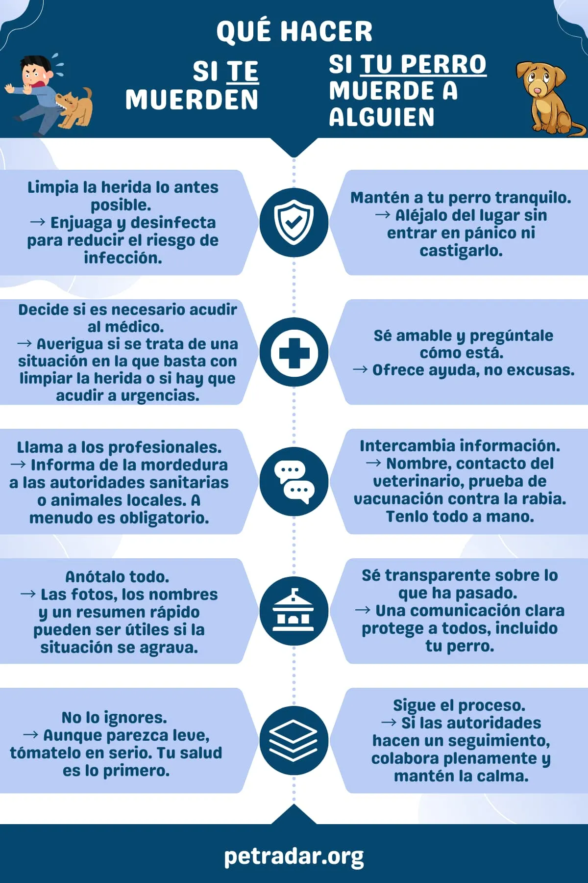 infografía qué hacer si te muerde un perro y qué hacer si tu perro muerde a alguien