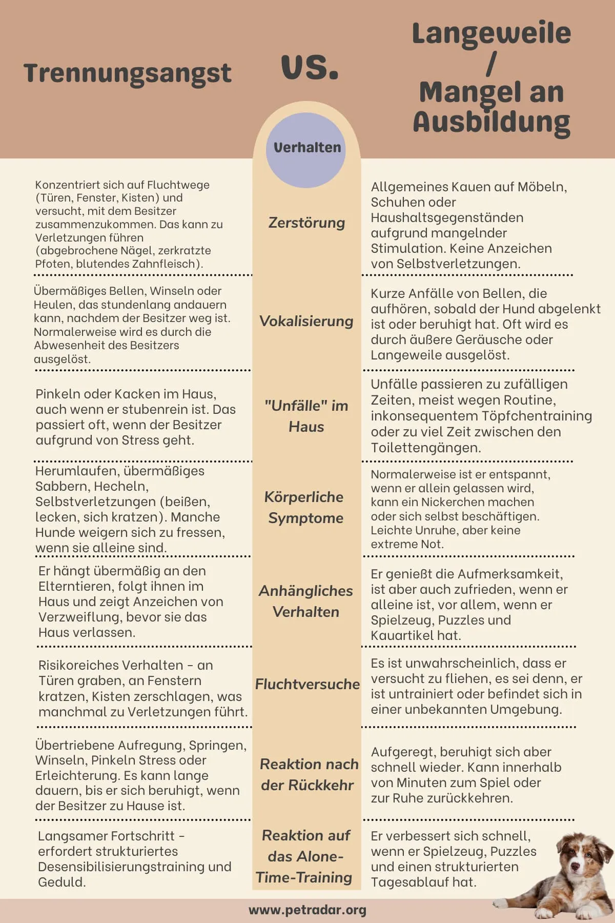Tabelle, die den Unterschied zwischen Trennungsangst und Langeweile bei Hunden zeigt