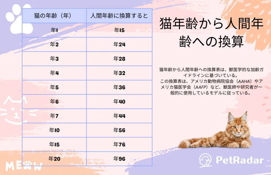 猫年齢から人間年齢への換算表