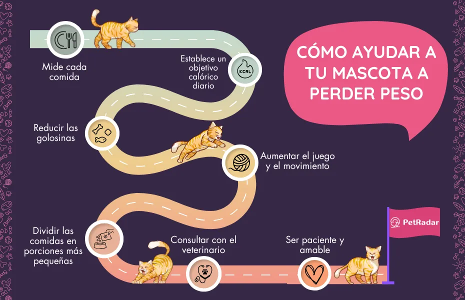 Infografía que muestra una divertida guía paso a paso sobre cómo ayudar a las mascotas a perder peso, con gatos ilustrados que siguen un camino desde el control de las raciones hasta las visitas al veterinario