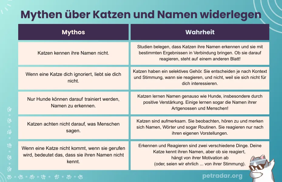 Mythen über Katzen und Namen widerlegen