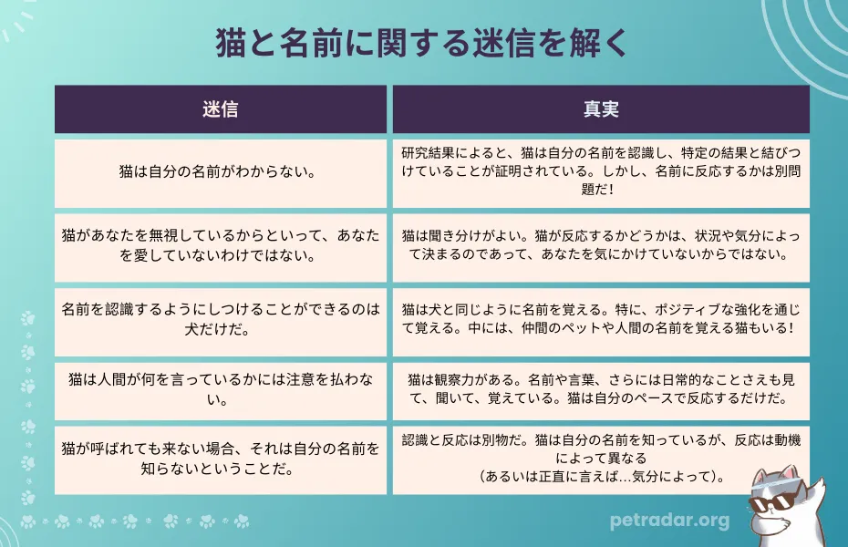 猫と名前に関する迷信を解く